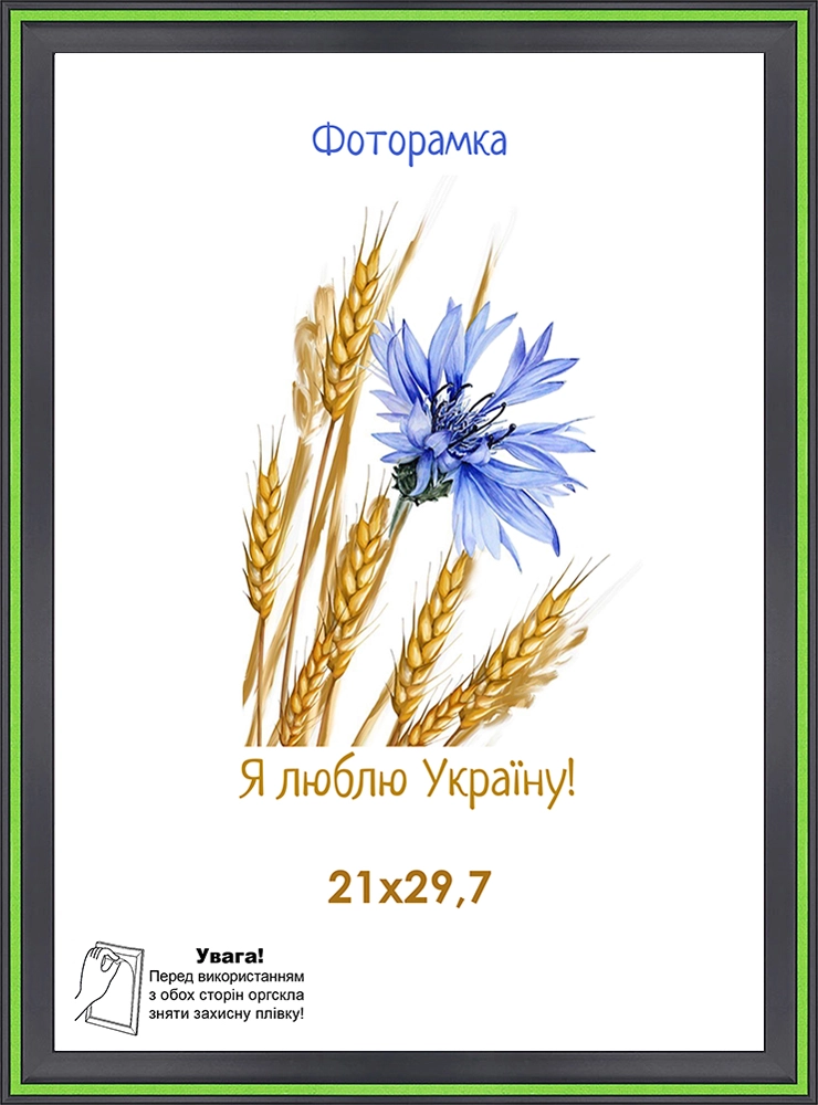 Фоторамка оргскло 21х29,7 чорний з зеленою смужкою 1613-6436