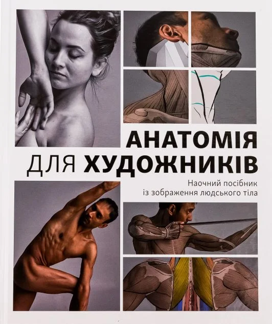 Анатомія для художників — ArtHuss