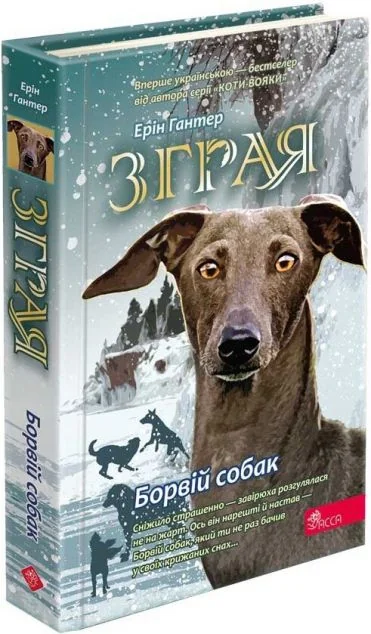 Борвій собак — Підліткове фентезі