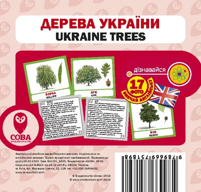 Дерева України — Вивчення мов
