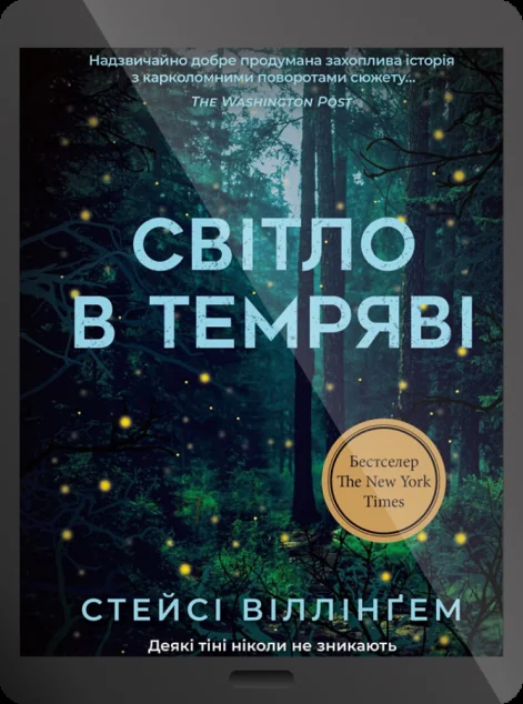 Електронна книга «Світло в темряві» — Стейсі Віллінґем