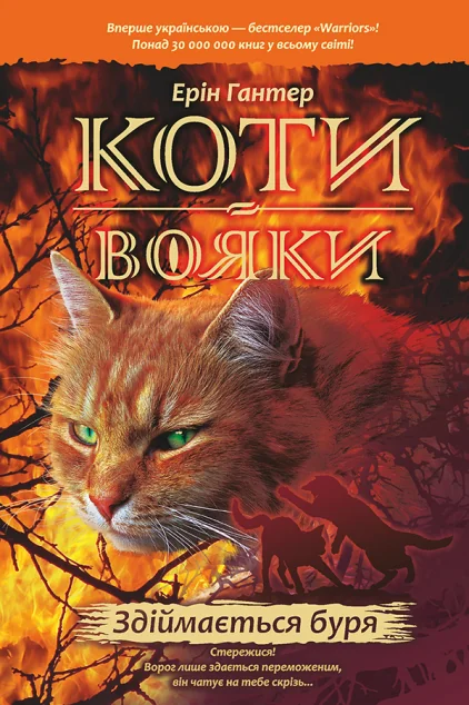 Здіймається буря