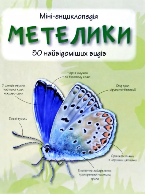 Метелики. 50 найвідоміших видів. Міні-енциклопедія — Дитячі енциклопедії