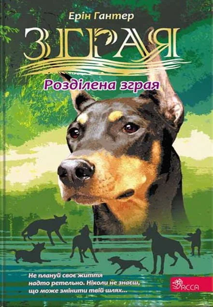 Розділена зграя — Підліткове фентезі