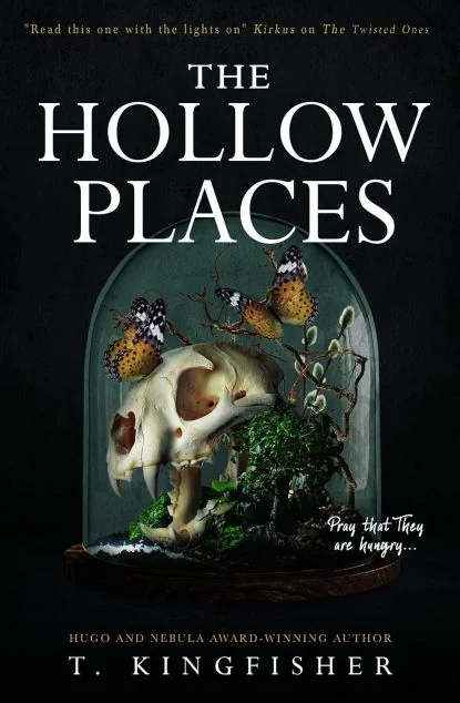 The Hollow Places — Сучасна зарубіжна проза