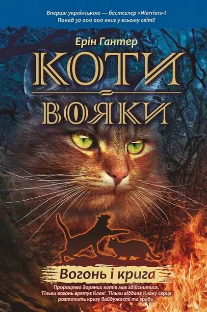Вогонь і крига